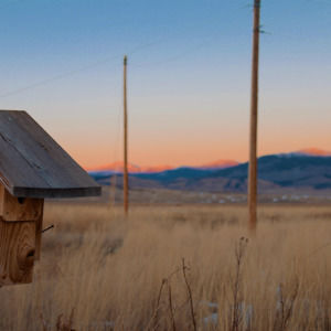 Meet your Posher, Veoria